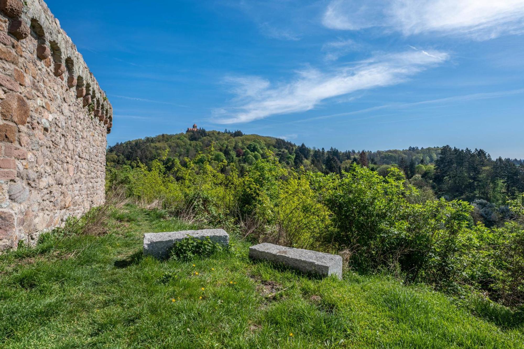 Ferienwohnung Drachenstein Weinheim Exterior foto